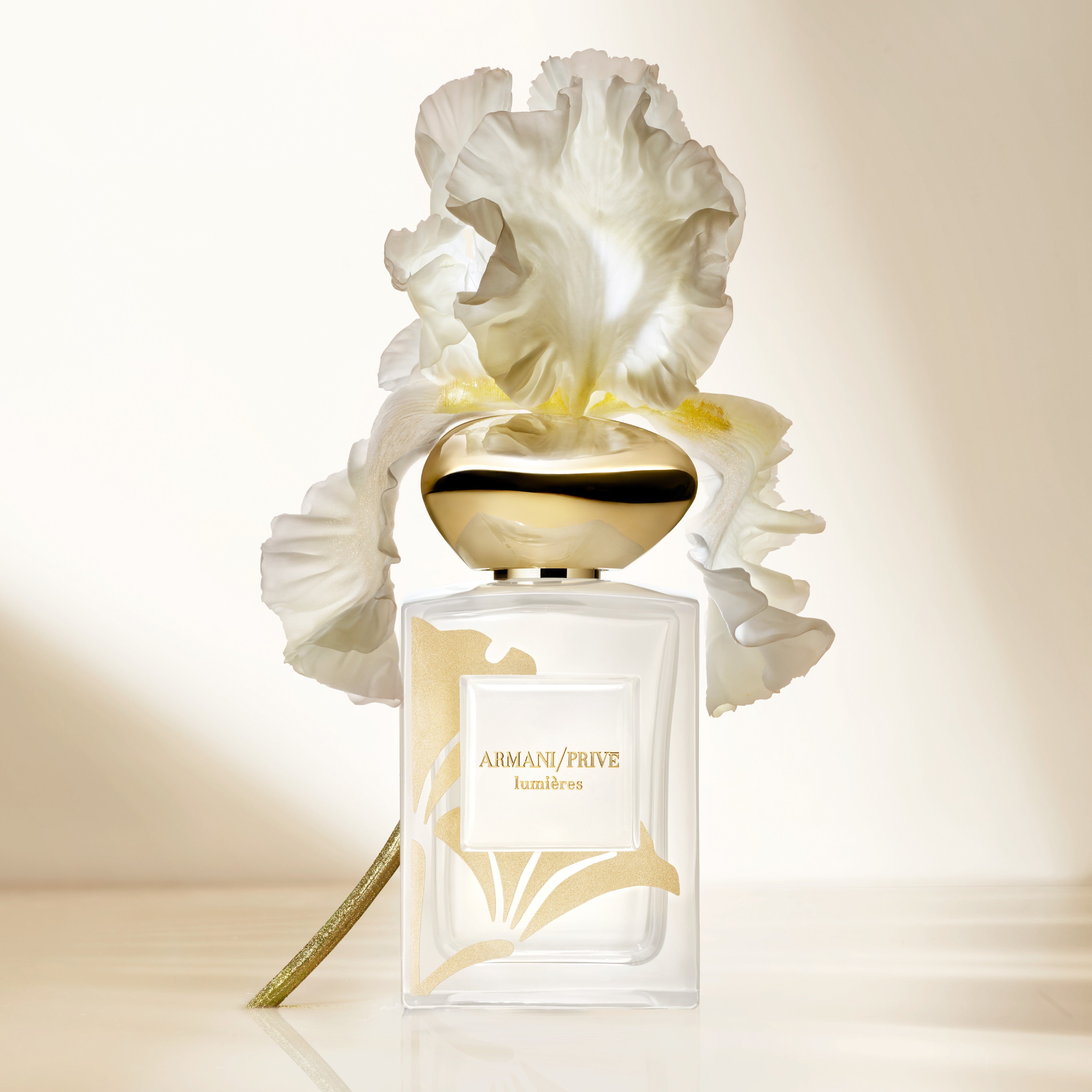 アルマーニ / 銀座タワー | 【公式】アルマーニオフィシャルサイト