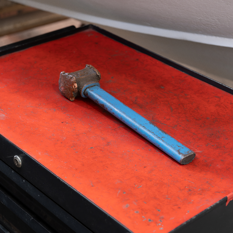 BV_PeterFraser26_Adv_sRGB_1x1_imageonly_B12