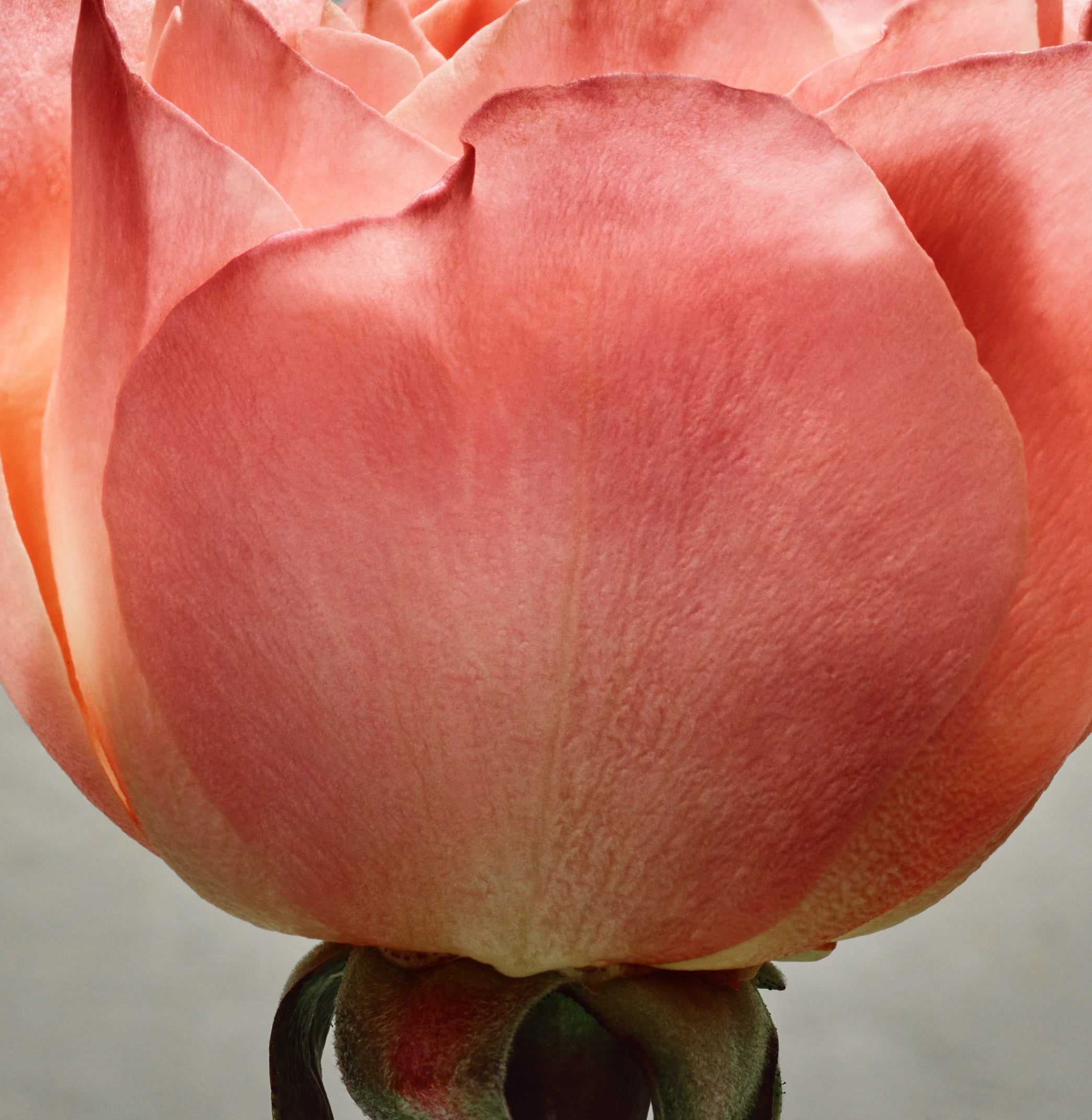 Fragrance 3