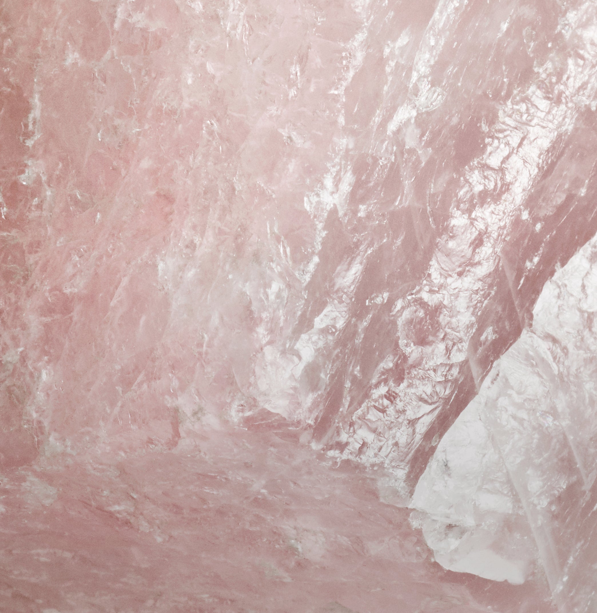 Fragrance 4