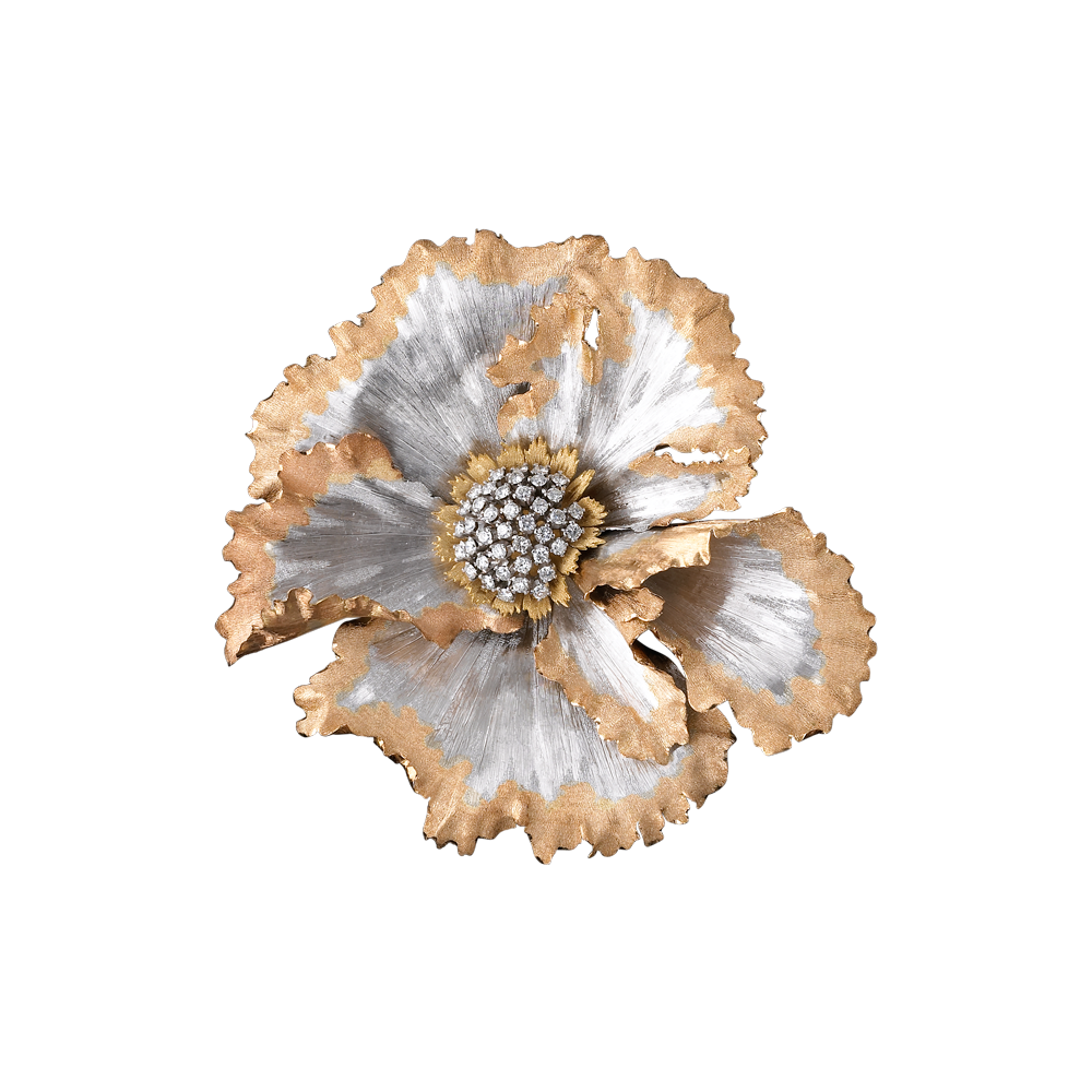 Nature&animalier_esterno