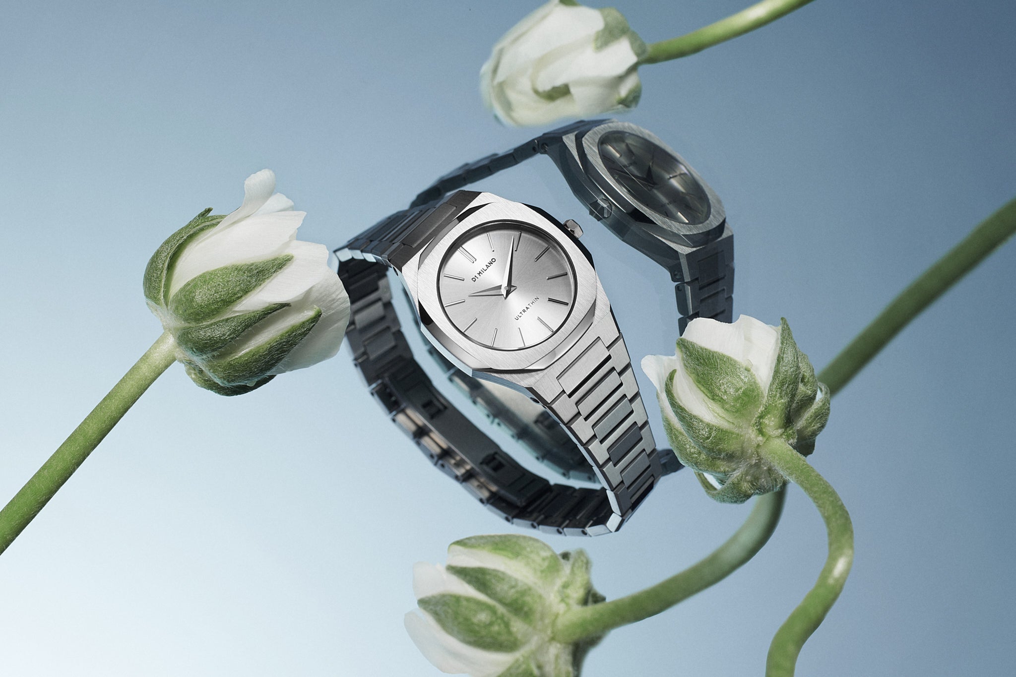 01_16 D1 UT30_61143 (1)