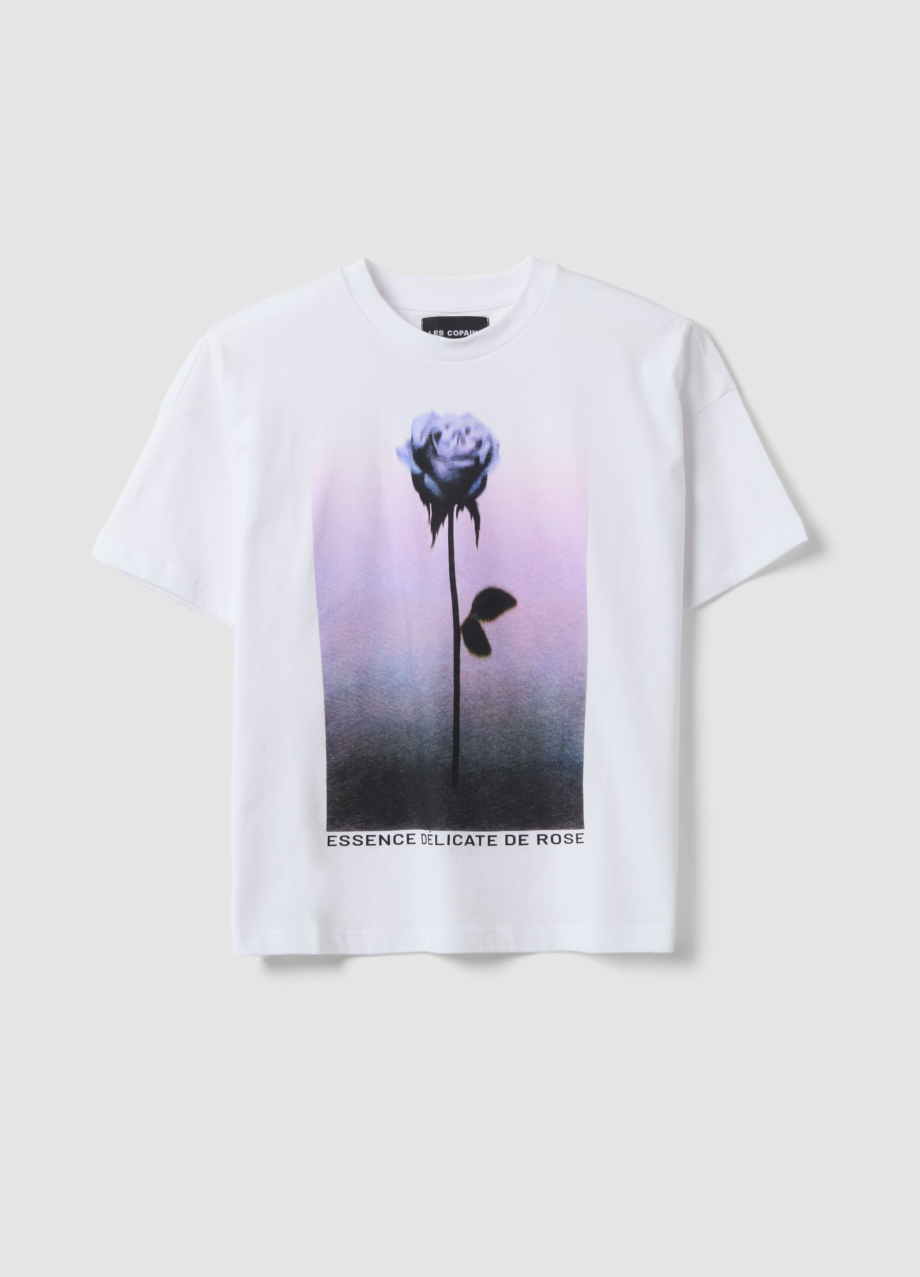 T-shirt Bianca In Puro Cotone Con Stampa Floreale Regular Fit