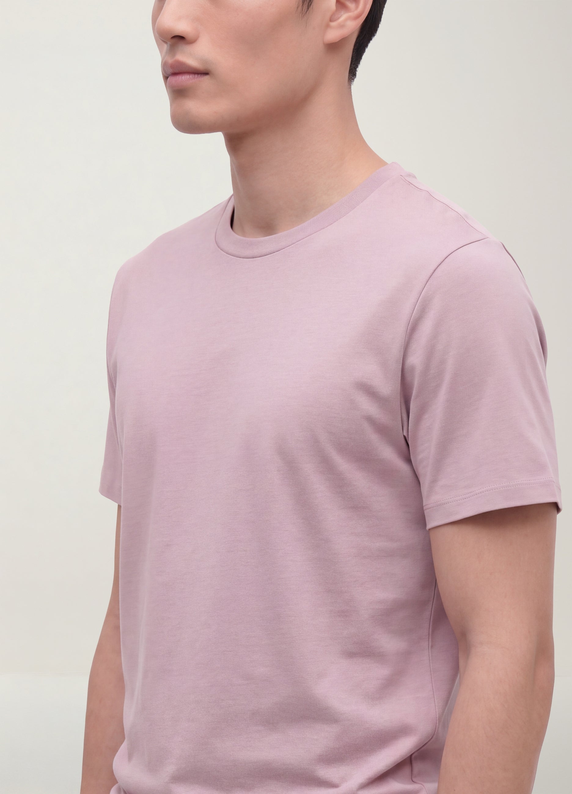 T-shirt Viola In Puro Cotone Mercerizzato A Girocollo Regular Fit