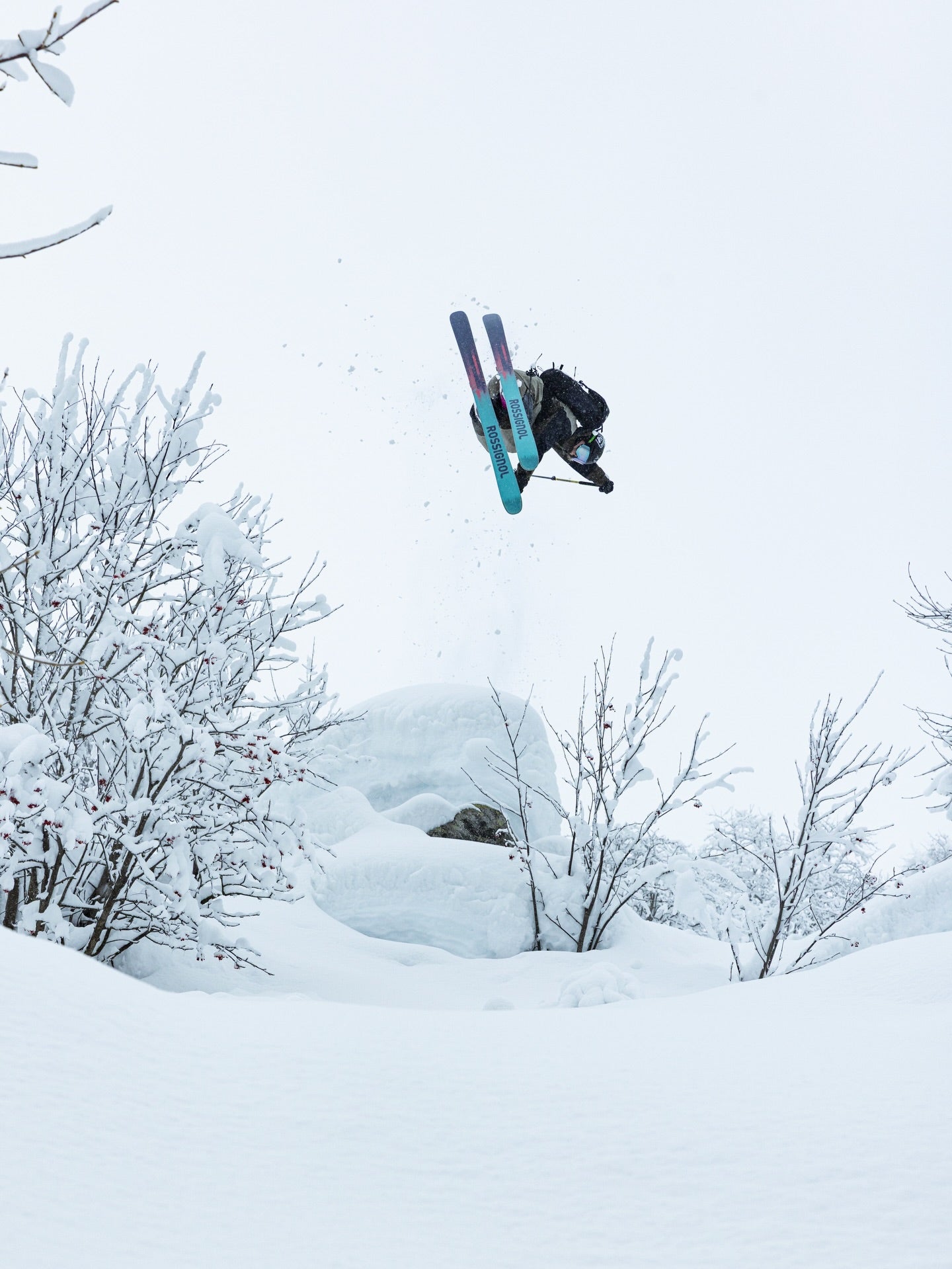 jacobwester did score some good powder lines on hi...