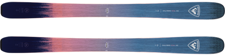 Visual showing two views of a &nbsp;ski : at the top, a cross-section illustrating the internal structure with the materials used.