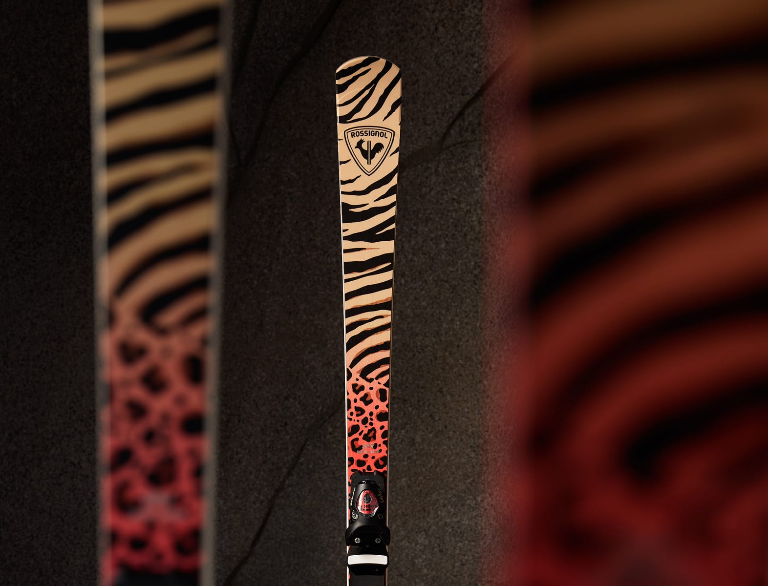 Zoom sur les skis Savage